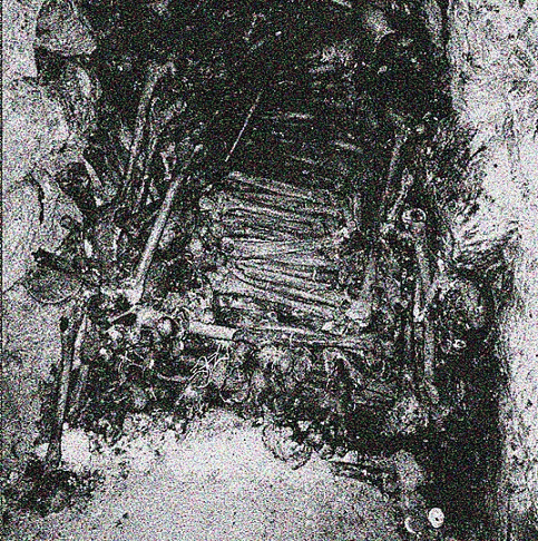 Ctenizidae : .​.​.​Of Rotting Soil and Spine